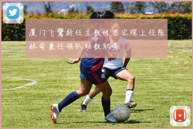 厦门飞鹭新任主教练吕宏琛上任陈林奇兼任领队助教职务